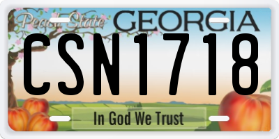 GA license plate CSN1718