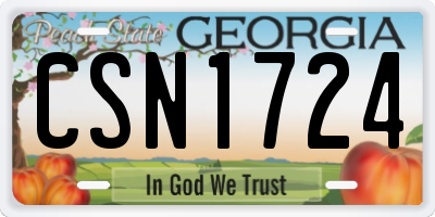 GA license plate CSN1724