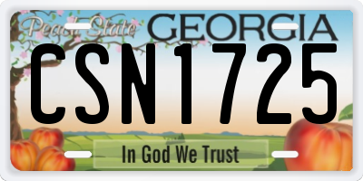 GA license plate CSN1725