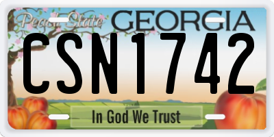 GA license plate CSN1742