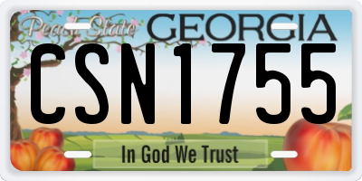 GA license plate CSN1755