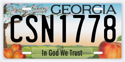 GA license plate CSN1778
