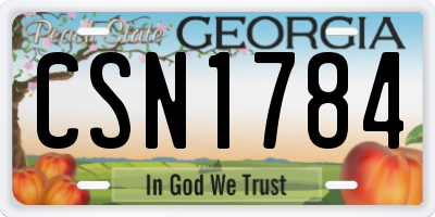 GA license plate CSN1784
