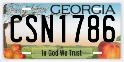 GA license plate CSN1786