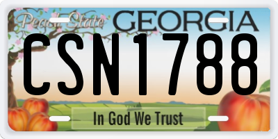 GA license plate CSN1788