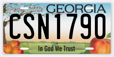 GA license plate CSN1790
