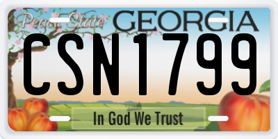 GA license plate CSN1799