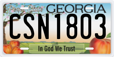 GA license plate CSN1803