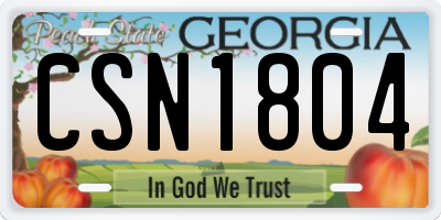 GA license plate CSN1804