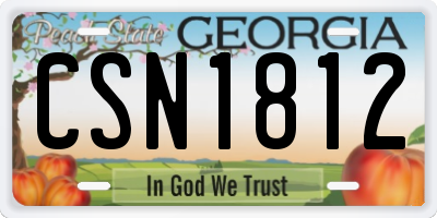 GA license plate CSN1812