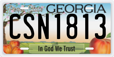 GA license plate CSN1813