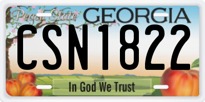 GA license plate CSN1822