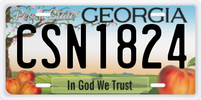 GA license plate CSN1824