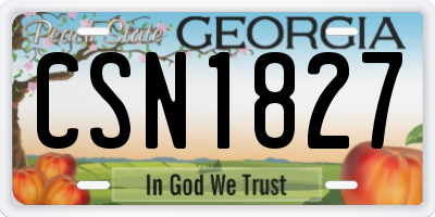 GA license plate CSN1827