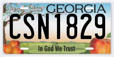 GA license plate CSN1829