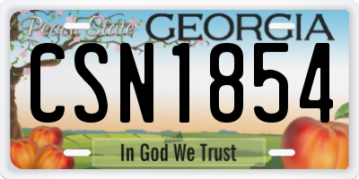 GA license plate CSN1854