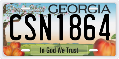 GA license plate CSN1864