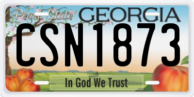 GA license plate CSN1873