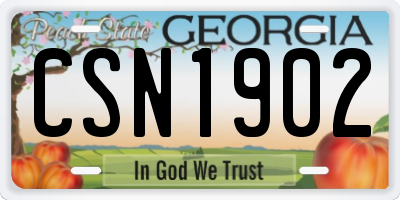 GA license plate CSN1902