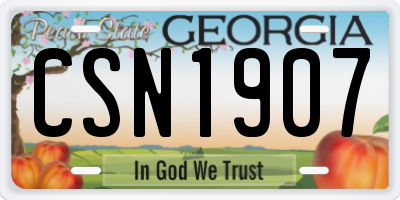 GA license plate CSN1907