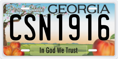 GA license plate CSN1916