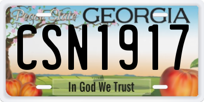 GA license plate CSN1917