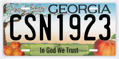 GA license plate CSN1923