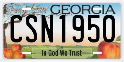GA license plate CSN1950