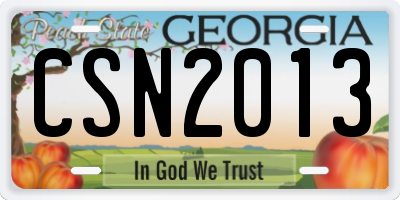 GA license plate CSN2013