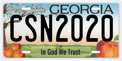 GA license plate CSN2020