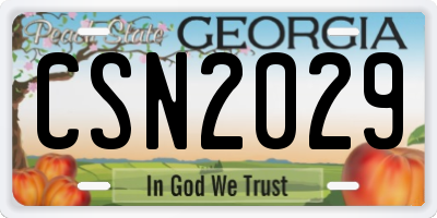 GA license plate CSN2029
