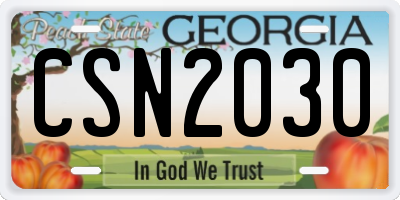 GA license plate CSN2030