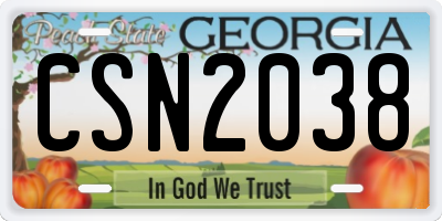 GA license plate CSN2038