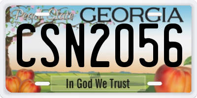 GA license plate CSN2056