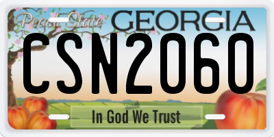 GA license plate CSN2060
