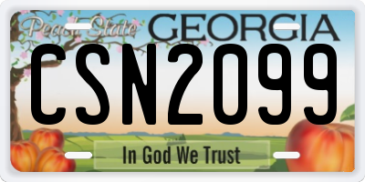 GA license plate CSN2099