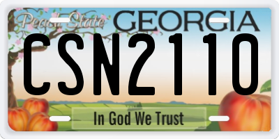 GA license plate CSN2110