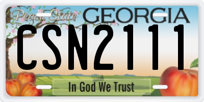GA license plate CSN2111