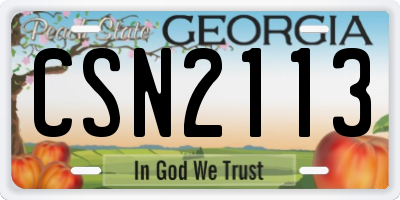 GA license plate CSN2113