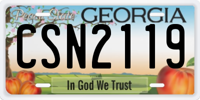 GA license plate CSN2119