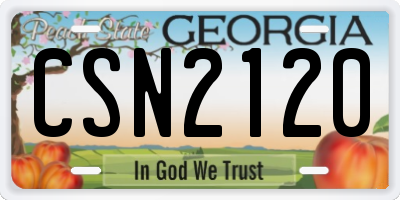 GA license plate CSN2120