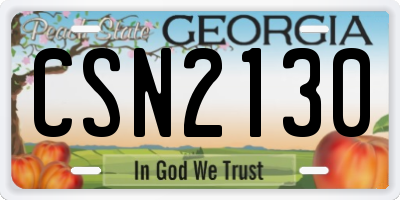 GA license plate CSN2130