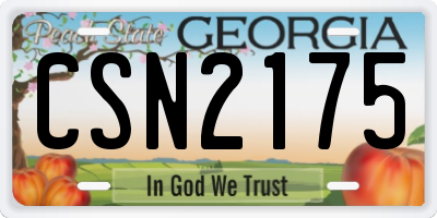 GA license plate CSN2175