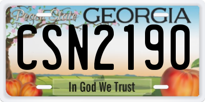 GA license plate CSN2190