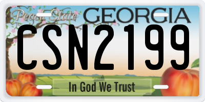 GA license plate CSN2199