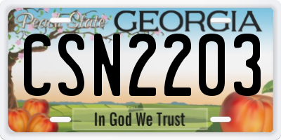 GA license plate CSN2203