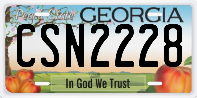 GA license plate CSN2228