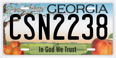 GA license plate CSN2238