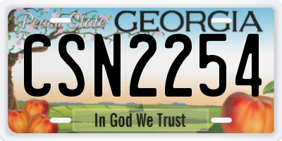 GA license plate CSN2254