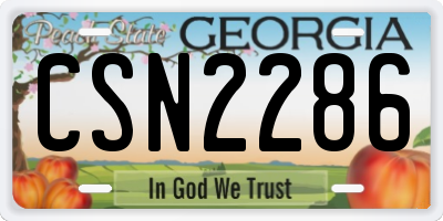 GA license plate CSN2286